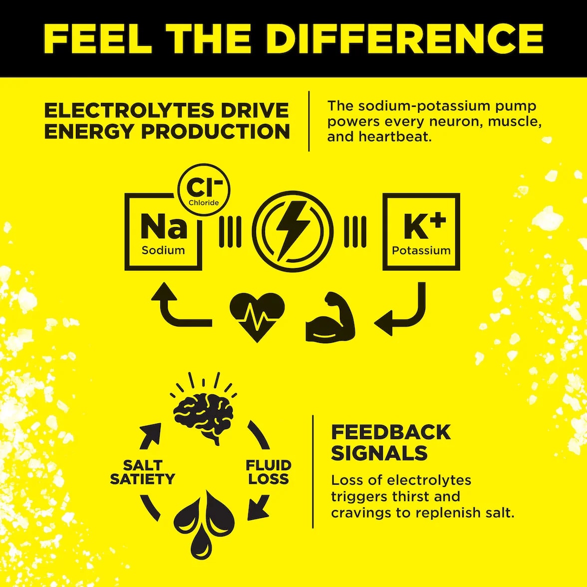 LMNT Zero-Sugar Electrolytes 30 Count